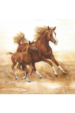 Lovak -szalvéta 33x33 cm