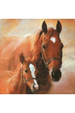 Lovak -szalvéta 33x33 cm