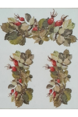 Transzfer- Csipkebogyók 25x35 cm