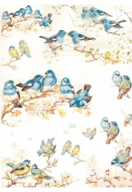 Rizspapír-kék madarak