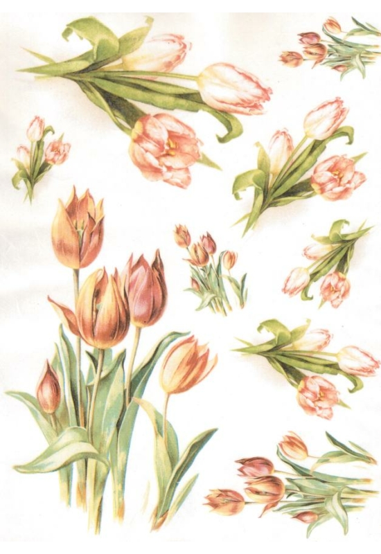 Rizspapír-tulipánok