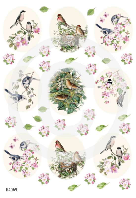 Rizspapír-virágok, madarak