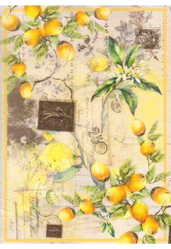 Rizspapír-citrom