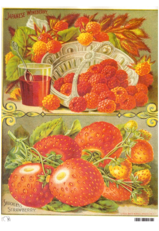 Rizspapír -málna, eper